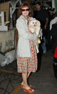 Susan Sarandon feet photo thumbnail