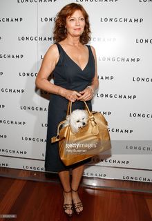 Susan Sarandon feet photo thumbnail