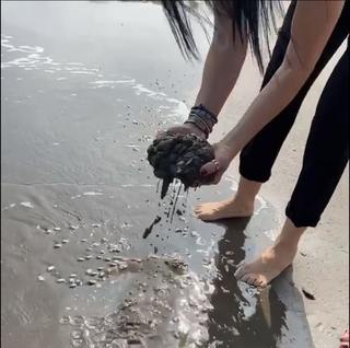 Susana Zabaleta feet photo thumbnail