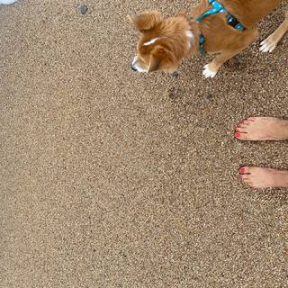 Susanna Griso feet photo 15