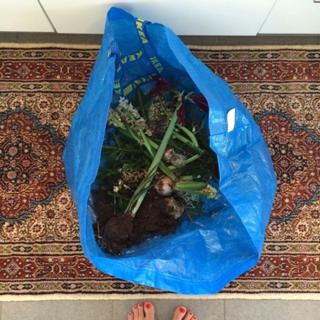 Susanna Kallur feet photo 20