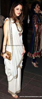 Sussane Roshan feet photo 14