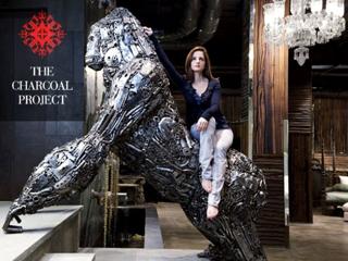 Sussane Roshan feet photo 17