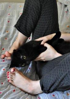 Sussane Roshan feet photo 13