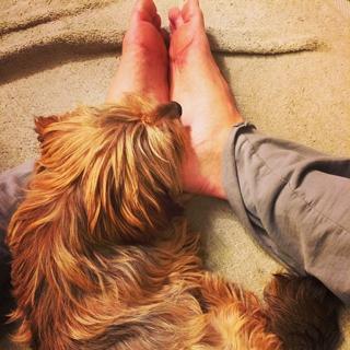 Sutton Foster feet photo thumbnail