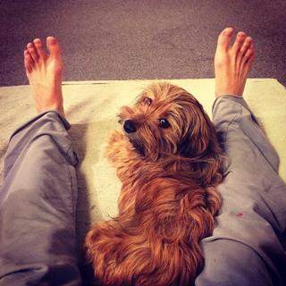 Sutton Foster feet photo thumbnail