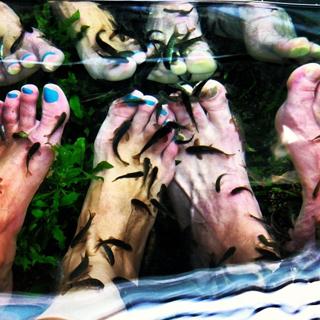 Sutton Foster feet photo thumbnail