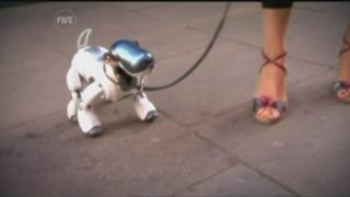 Suzi Perry feet photo thumbnail