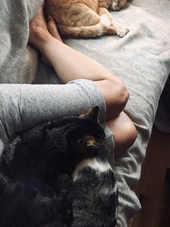 Suzi Perry feet photo thumbnail