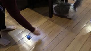 Suzy Berhow feet photo thumbnail