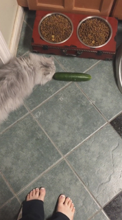 Suzy Berhow feet photo thumbnail