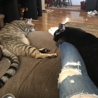 Suzy Berhow feet photo thumbnail