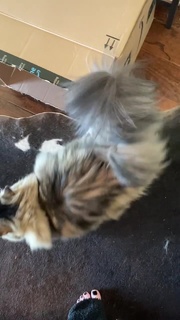 Suzy Berhow feet photo thumbnail