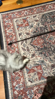 Suzy Berhow feet photo thumbnail