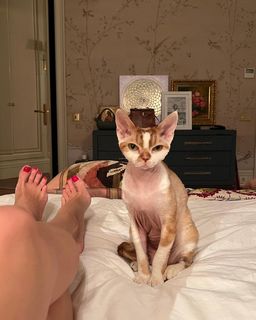 Svetlana Bondarchuk feet photo 15