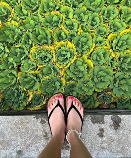 Svetlana Bondarchuk feet photo 19