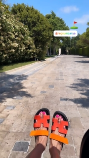 Svetlana Bondarchuk feet photo 14
