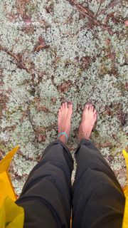 Svetlana Bondarchuk feet photo 7