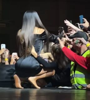 Svetlana-Ceca Raznatovic feet photo thumbnail