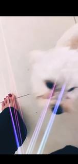 Svetlana Loboda feet photo 1