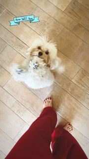 Svetlana Loboda feet photo 17