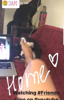 Swara Bhaskar feet photo 14