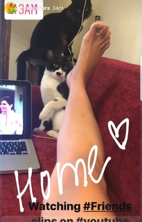 Swara Bhaskar feet photo 11