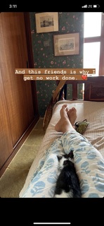 Swara Bhaskar feet photo 2