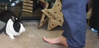 Sweet Anita feet photo thumbnail