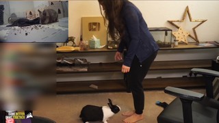 Sweet Anita feet photo thumbnail