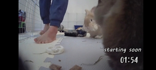 Sweet Anita feet photo thumbnail