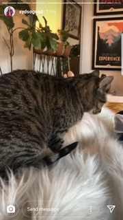 Sydnee Goodman feet photo thumbnail