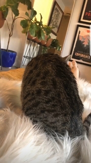 Sydnee Goodman feet photo thumbnail