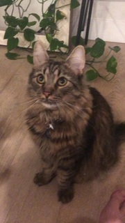 Sydnee Goodman feet photo thumbnail