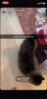 Sydnee Goodman feet photo thumbnail