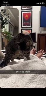 Sydnee Goodman feet photo thumbnail