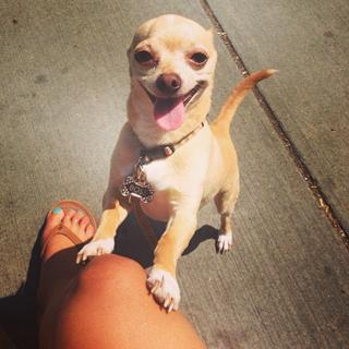 Sydney Leroux feet photo 6
