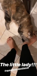 Sydney Park feet photo thumbnail