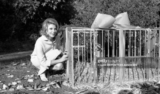 Sylva Koscina feet photo 11