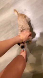 Sylvia Gani feet photo 13