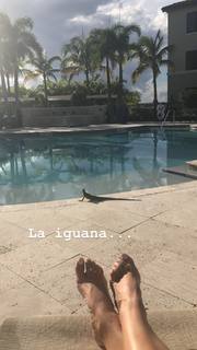 Sylvia Saenz feet photo 15