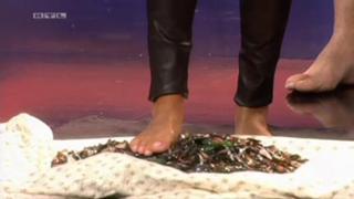 Sylvie Meis feet photo thumbnail