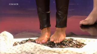Sylvie Meis feet photo thumbnail
