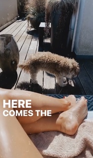 Sylvie Meis feet photo thumbnail
