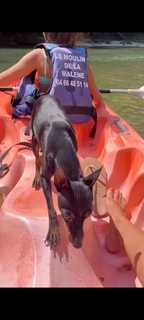 Sylvie Tellier feet photo thumbnail