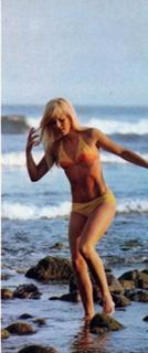 Sylvie Vartan feet photo 14