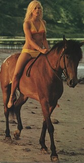 Sylvie Vartan feet photo 1