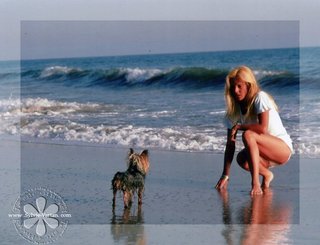 Sylvie Vartan feet photo 16