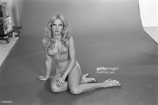 Sylvie Vartan feet photo 9
