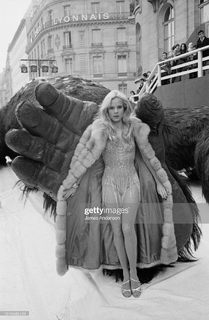 Sylvie Vartan feet photo 8